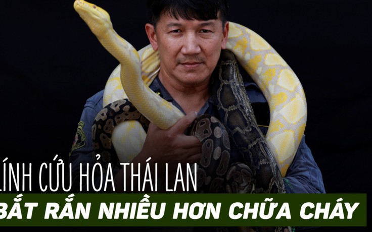 Lính cứu hỏa Bangkok bắt rắn nhiều hơn chữa cháy